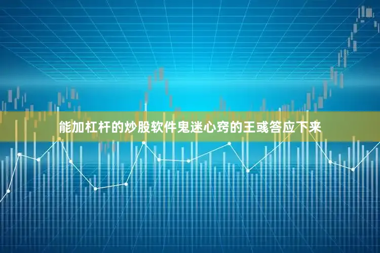 能加杠杆的炒股软件鬼迷心窍的王彧答应下来