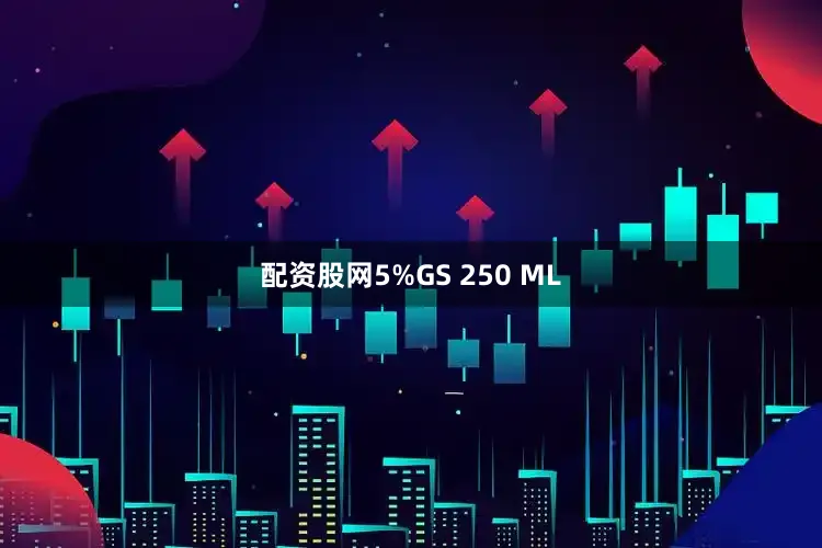 配资股网5%GS 250 ML