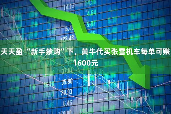 天天盈 “新手禁购”下，黄牛代买张雪机车每单可赚1600元
