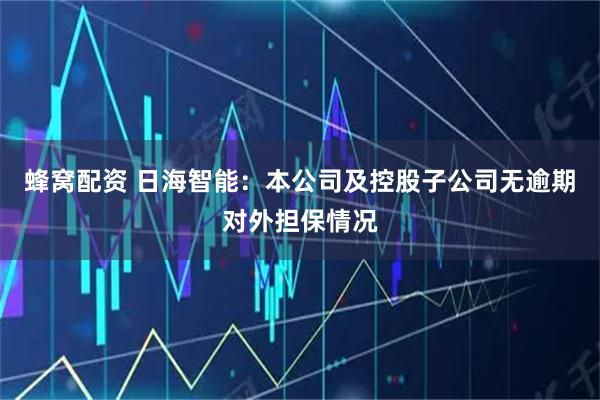 蜂窝配资 日海智能：本公司及控股子公司无逾期对外担保情况